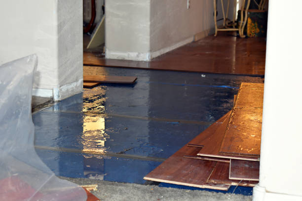 Professional Basement Flood Cleanup technician working in Richland, TX